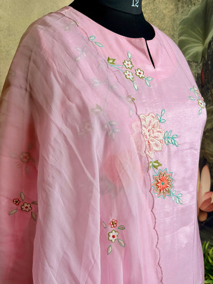 Pure Dola silk with Applique and embroidery