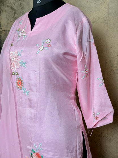 Pure Dola silk with Applique and embroidery