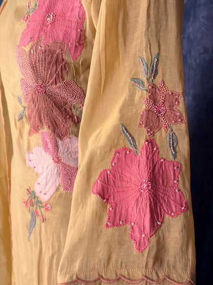 Pure surath Mulchendari with applique and Handwork