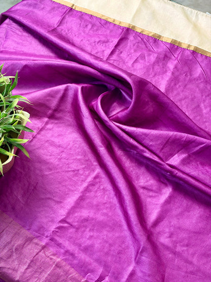 Pure tusser saree with Patola embroidery