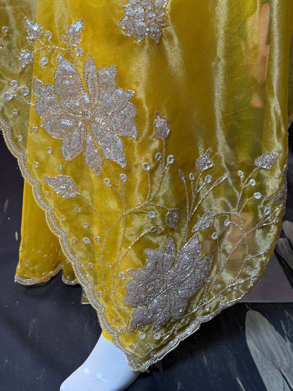 Pure Tissue Organza Saree with Handwork – Lightweight Elegant Festive Wear