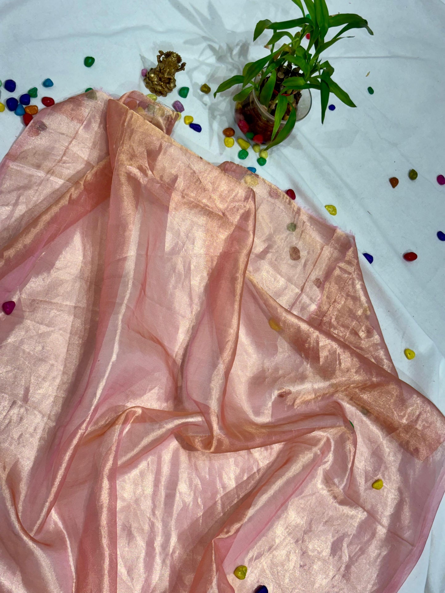 PURE TISSUE SILK SAREE WITH CLUCH WORK