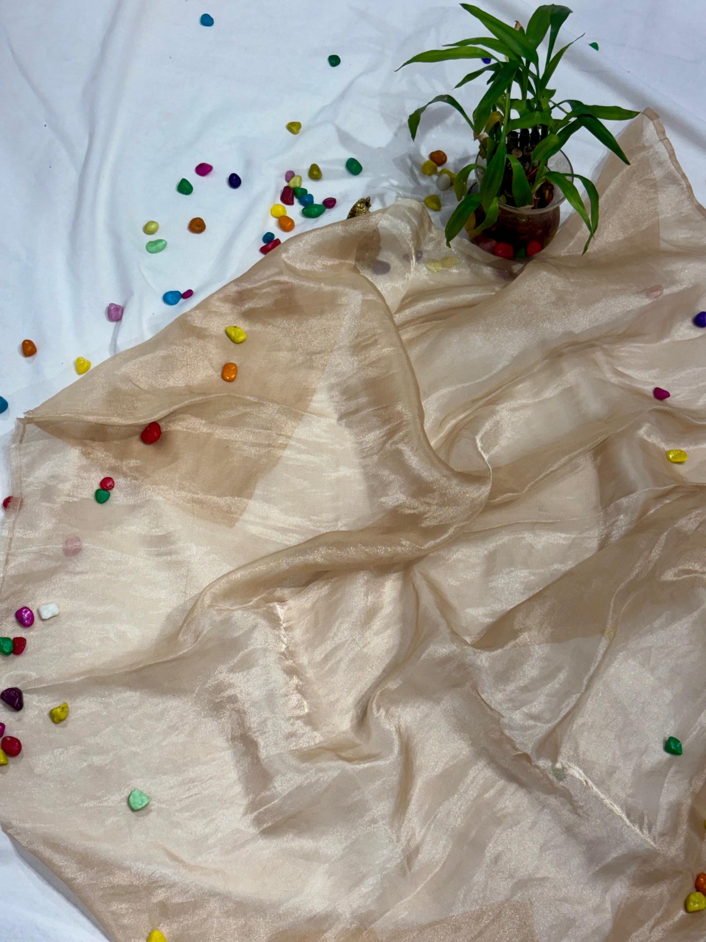 PURE KORA SILK WITH TISSUE PATTU APPLIQUE