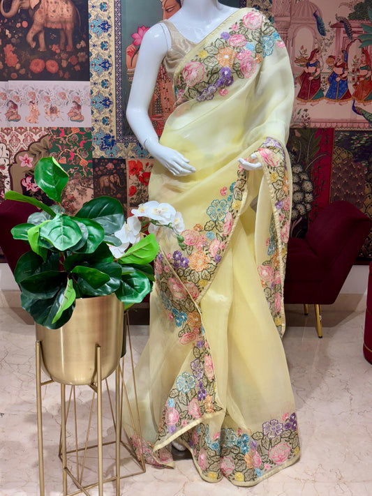 ORGANZA SAREE WITH MULTI THREAD EMBROIDERY