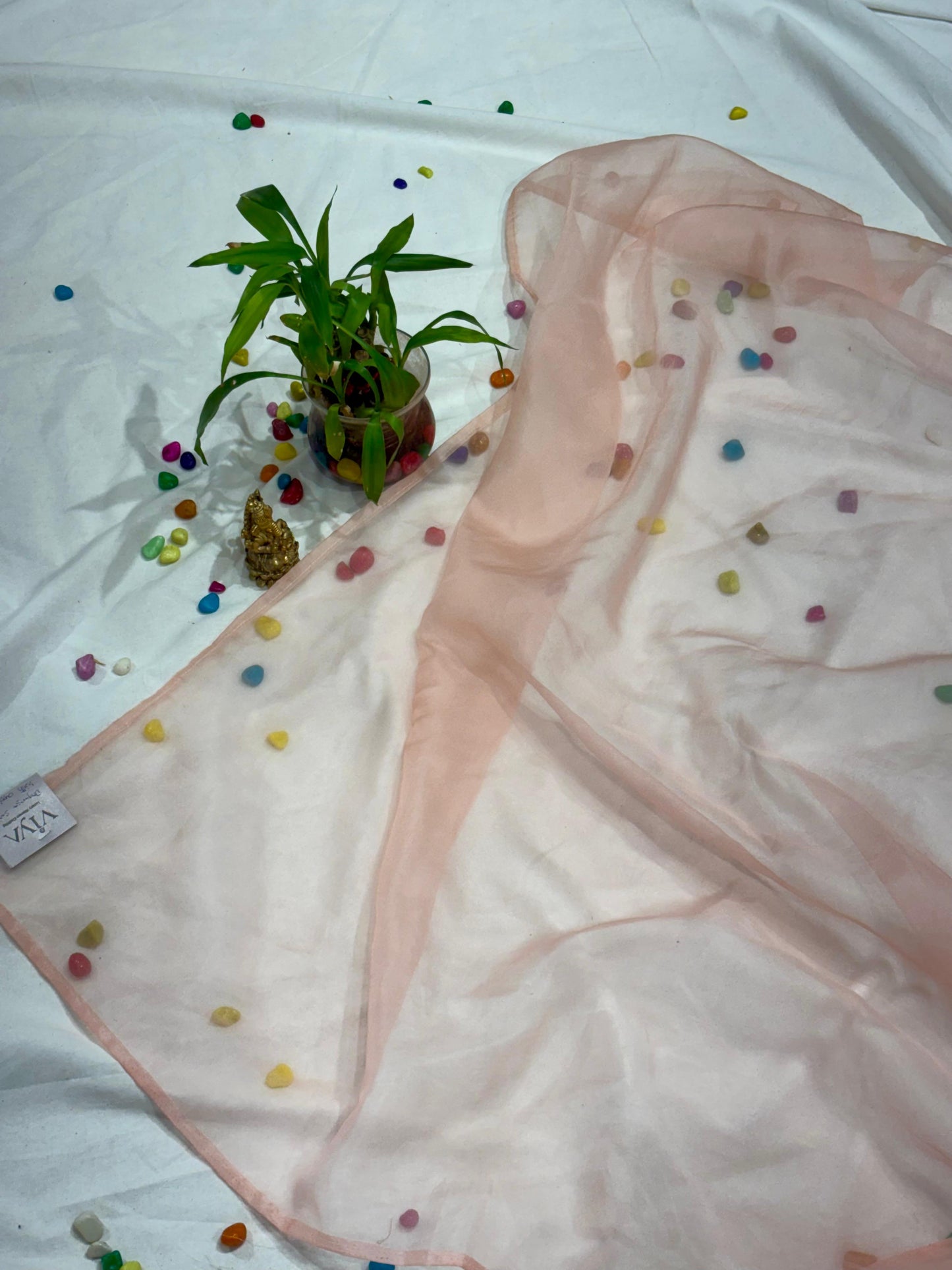 PURE ORGANZA SAREE WITH ALL OVER APPLIQUE AND EMBROIDERY
