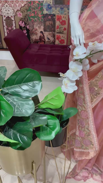 PURE TISSUE SILK SAREE WITH CLUCH WORK